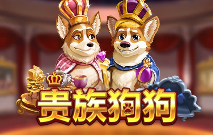 k1体育登录入口手机版官方